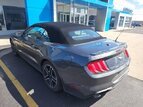Thumbnail Photo 36 for 2020 Ford Mustang